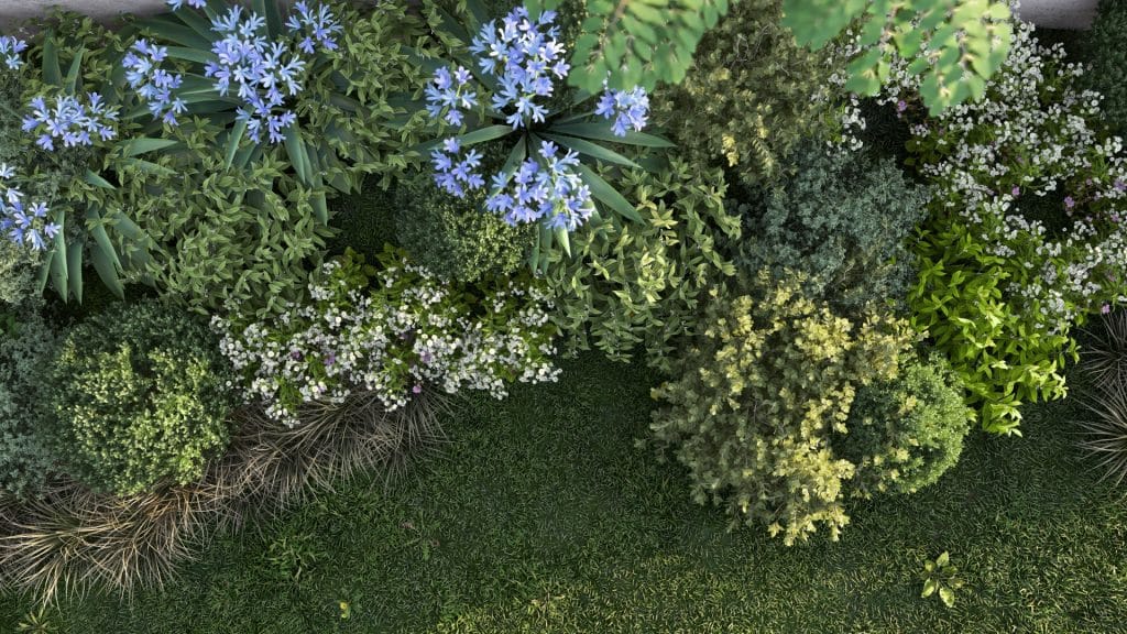 landscape tutorial top down plants closeup