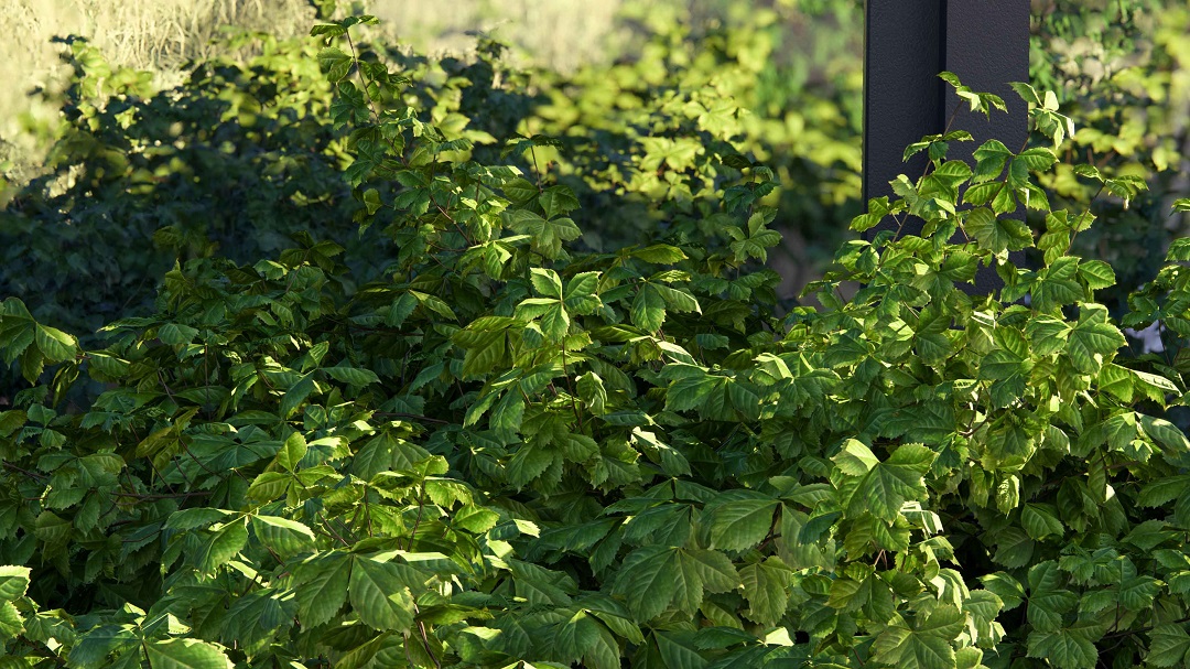 Avance naturaleza Lumion 2024