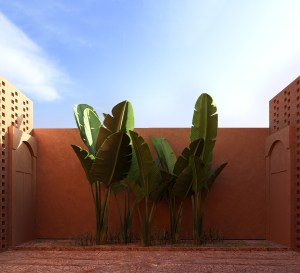 gemma galeno senegal project backyard