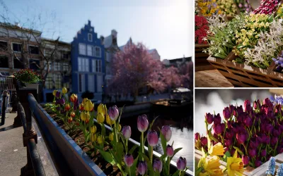 Nuevos objetos en la biblioteca de Lumion – Primavera
