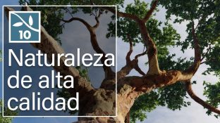 Naturaleza de alta calidad Naturaleza de alta calidad